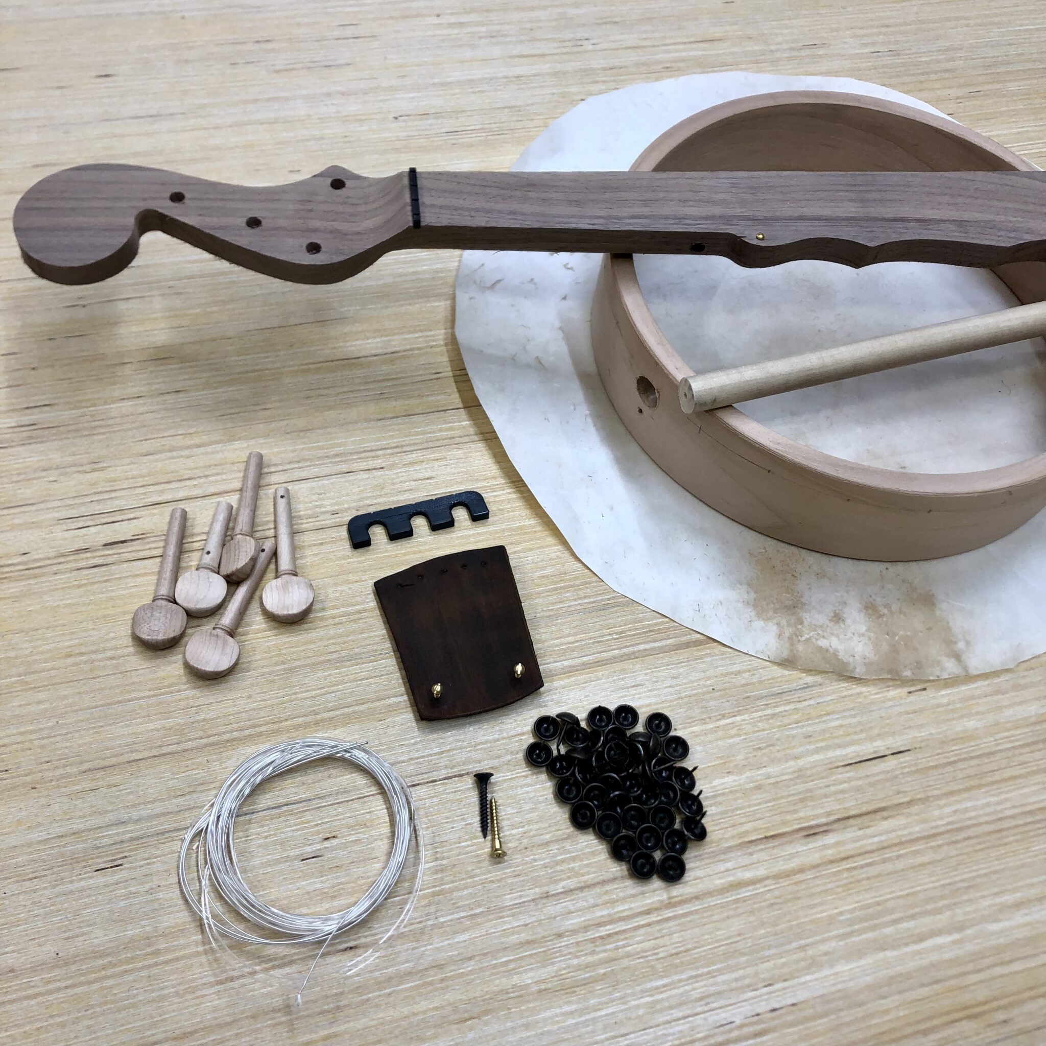 DIY Banjo Kit 10” Rim Carver Banjos
