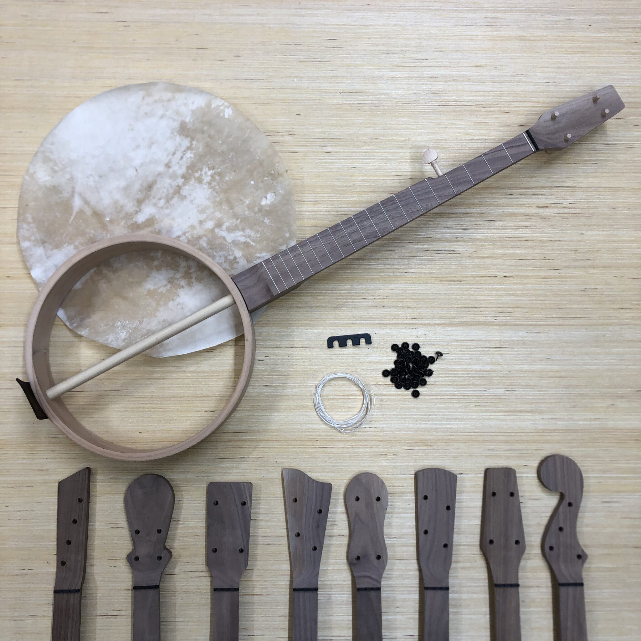 DIY Banjo Kit 12” Rim Carver Banjos