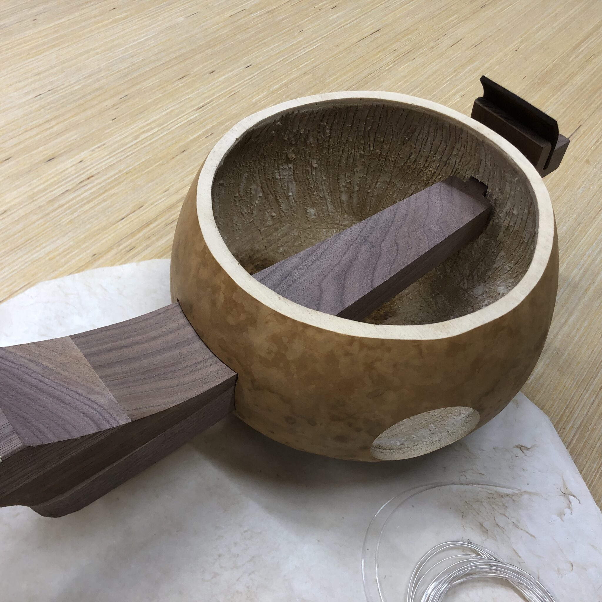 Gourd Banjo Kit (returning soon) Carver Banjos