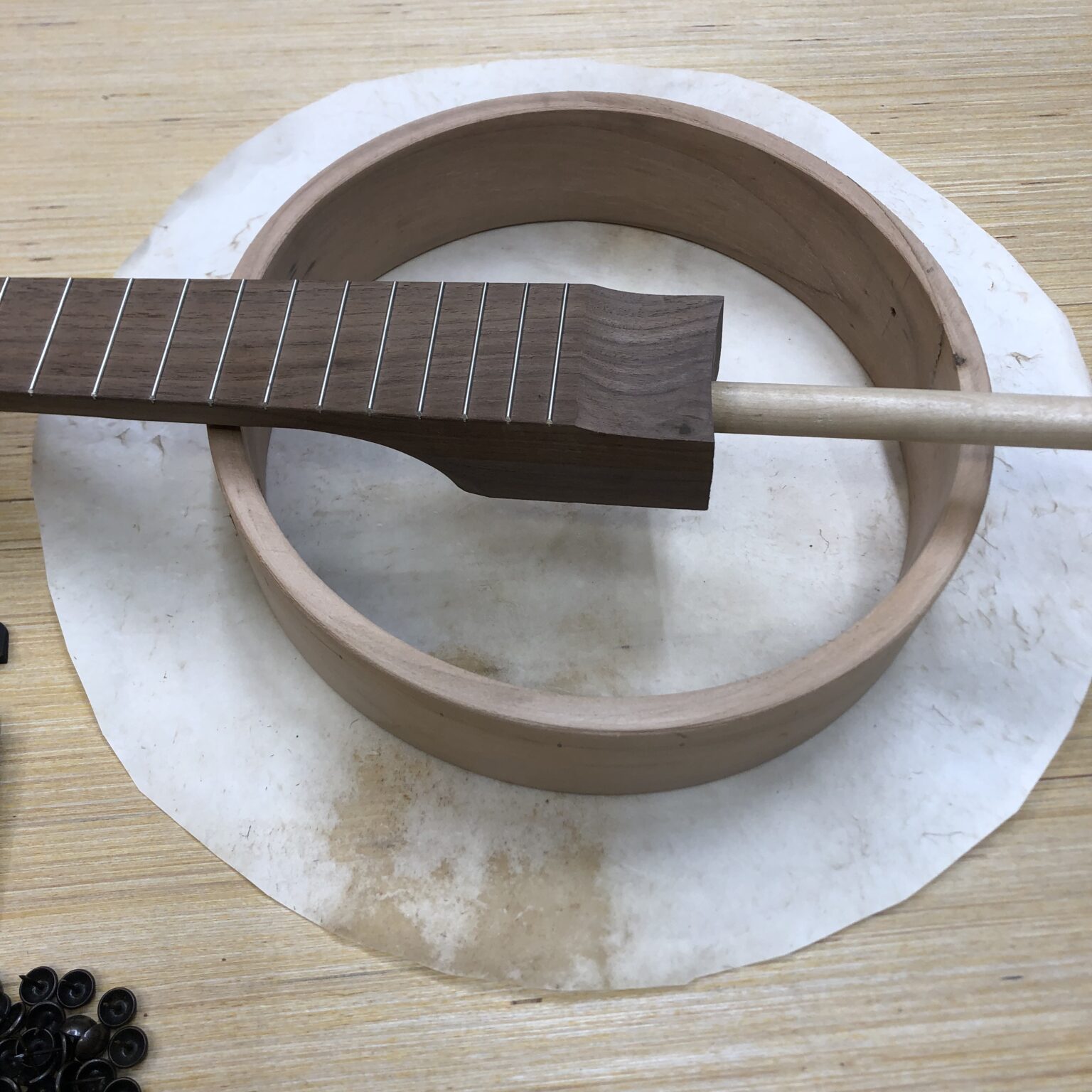 DIY Banjo Kit 10” Rim Carver Banjos