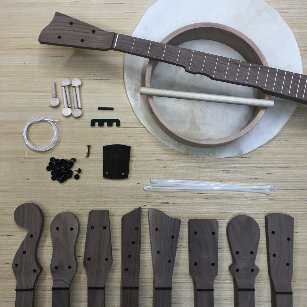 DIY Banjo Kit 10” Rim Carver Banjos